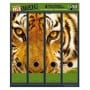 Filesticker 8011 Tigre