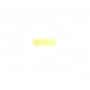 OLEO REMBRANDT 40ML 224 S2