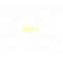 OLEO REMBRANDT 40ML 279 S2