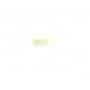 OLEO REMBRANDT 40ML 800 S3