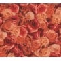 Papel Décopatch 572 1 Hoja