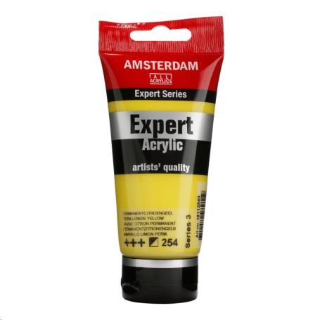 ACRILICO AMST-EXP 254 75ML S3