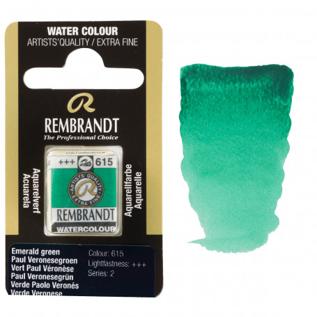 acuarela-rembrandt-medio-godet-serie-2-goya-615-verde-verones