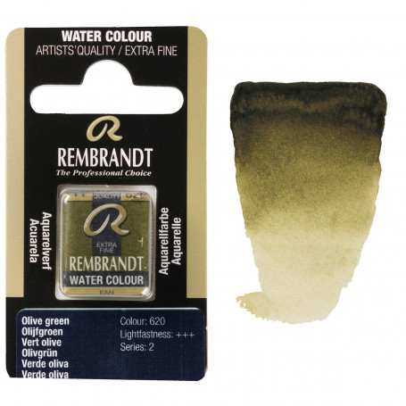 acuarela-rembrandt-medio-godet-serie-2-goya-620-verde-oliva