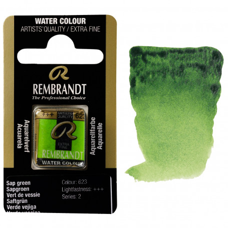 acuarela-rembrandt-medio-godet-serie-2-goya-623-verde-vejiga