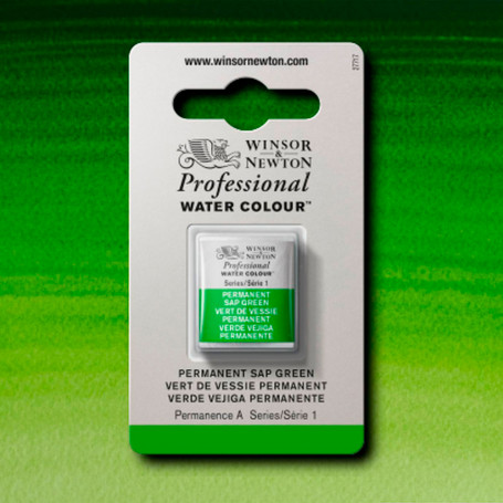 Acuarela Professional Verdes y Azules Winsor & Newton