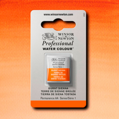 Acuarela Professional Ocres, Tierras y Marrones Winsor & Newton