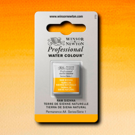 Acuarela Professional Ocres, Tierras y Marrones Winsor & Newton