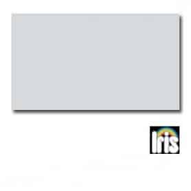 Cartulina IRIS Gris Perla 50 x 65 cm