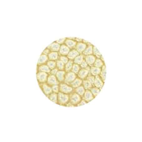 Fantasy Prisma Blanco 45 ml 20